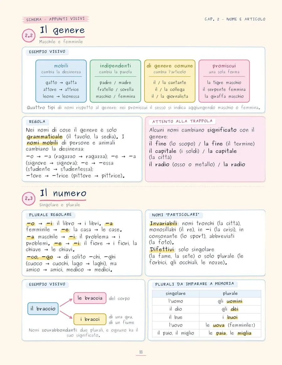 Il genere e il numero, pagina 11